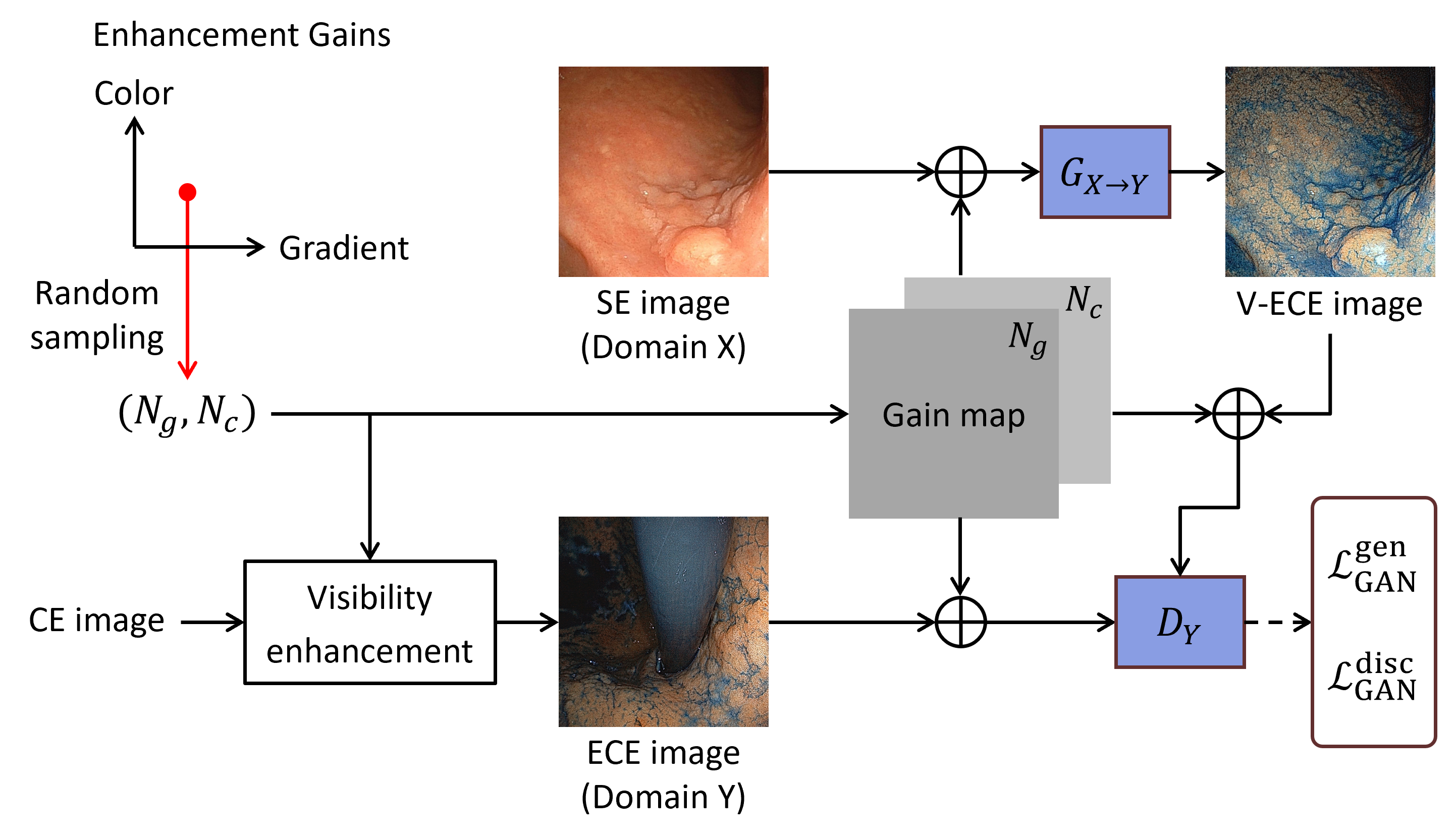 Training-time architecture of the proposed model